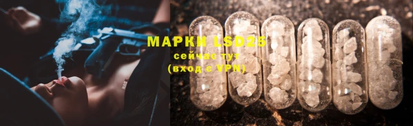 спиды Арсеньев
