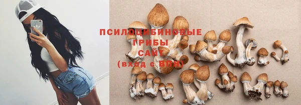 спиды Арсеньев