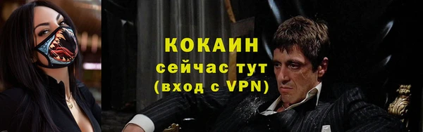 спиды Арсеньев